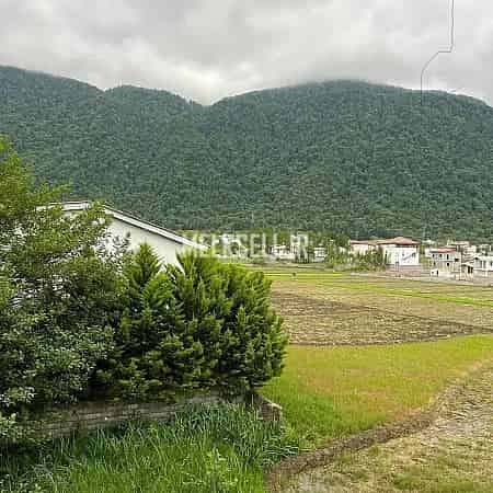 خرید زمین در چمستان پلاک اول جنگل شروع از ۲۰۰ متر